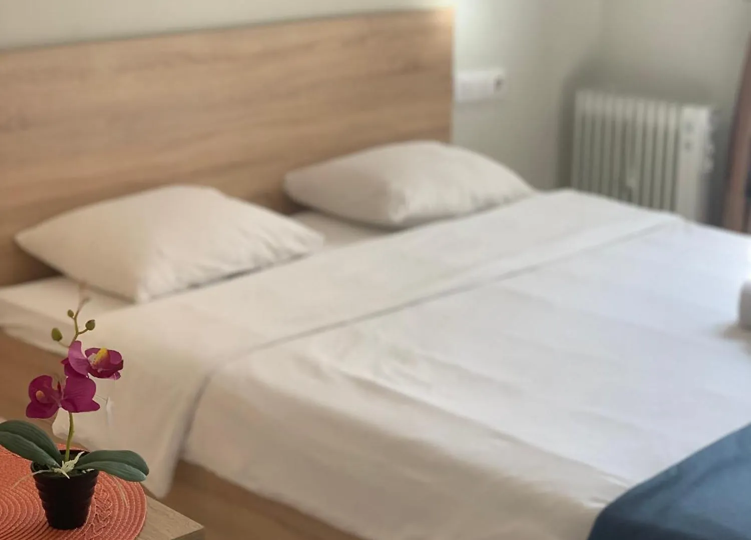 Apartment Sofia near Centre Bulgaria